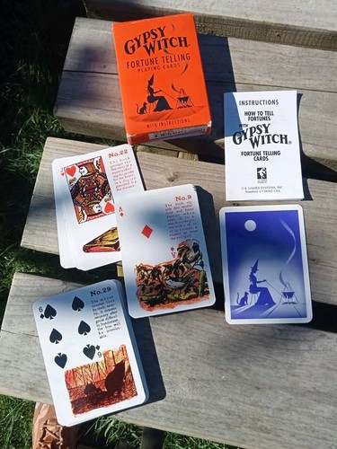 Gypsy witch fortune telling - witch,