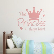 Pink Princess Sleep Here Wall