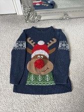 Boys Next Christmas jumper Age