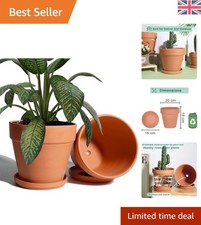 Stylish 20cm clay pot set - 20cm,