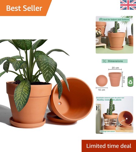 Stylish 20cm clay pot - clay,