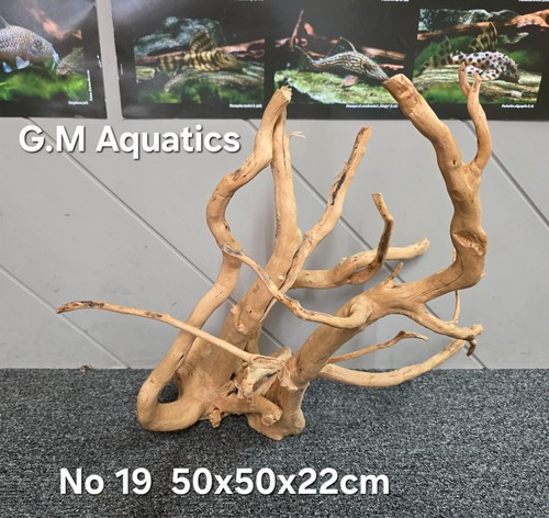 Azalea wood red moor - /, 19