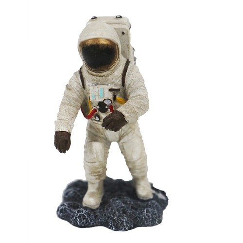 Betta astronaut aquarium - astronaut,