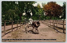 Jacksonville Florida~"Sulky" &