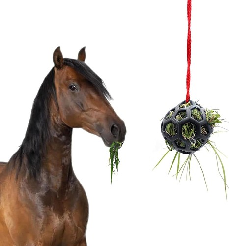 Pet hay feeder - pet,