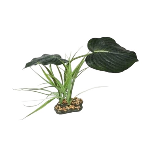 Komodo woodland canopy 42cm - woodland,