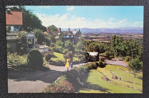 Vintage postcard unposted - vintage,