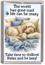Italian Spinone Dog Fridge