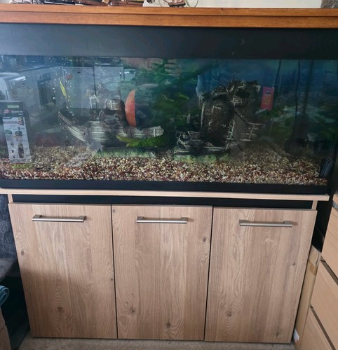 Aqua one aquavogue 245 fish - aqua,