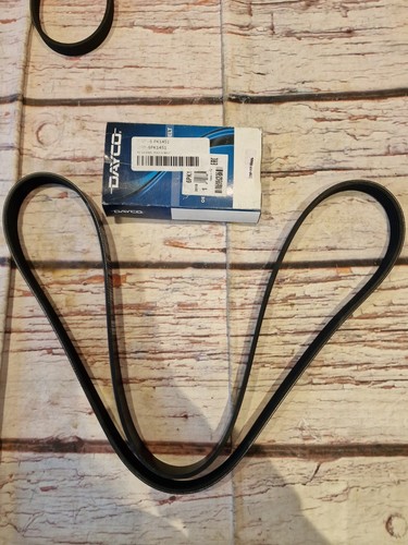 Dayco ribbed belt 6pk1451 - dayco,