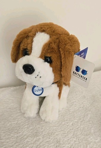 Battersea dogs home - home, duke