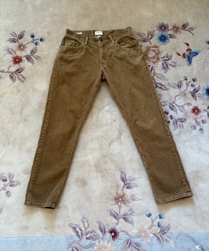Todd snyder brown corduroy - corduroy, 5