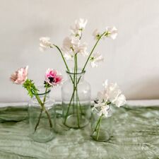 Botanical Jar Vase (3 Sizes) -