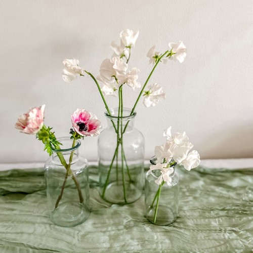 Botanical jar vase - botanical, sizes)
