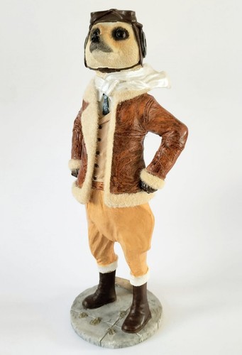 Bader meerkat magnificent - bader,