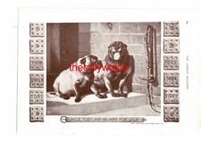 Uncle Toby For Sale (Inspiration On Reverse), Book Illustration (Print), 1901/2