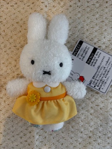 Flower miffy fluffy - flower,