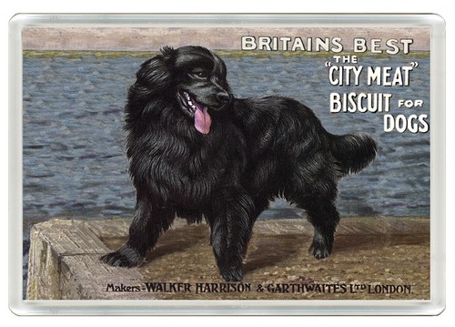 Newfoundland advert dog fridge - newfoundland,