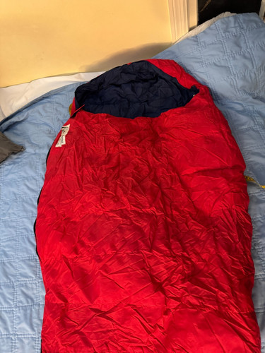 Ultralite marmot season - marmot,