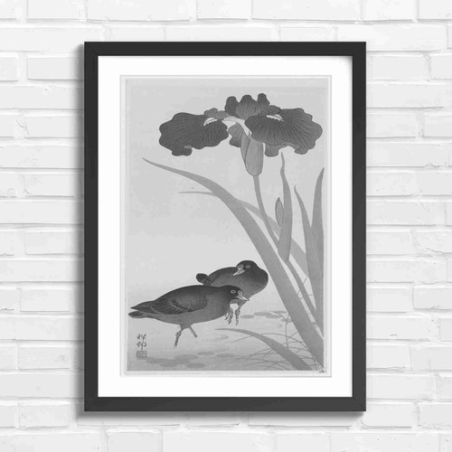 Vintage japanese iris - vintage,