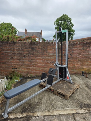 Flex fitness low - flex, row