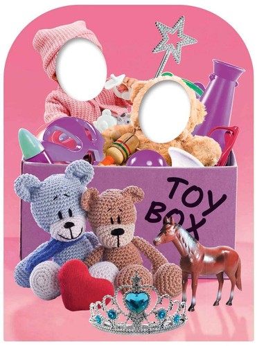 Girls toy box child size - child,