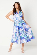 Coast Light Blue Midi Dress Womens Occasion Dresses