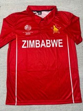 Zimbabwe cricket 2011 World