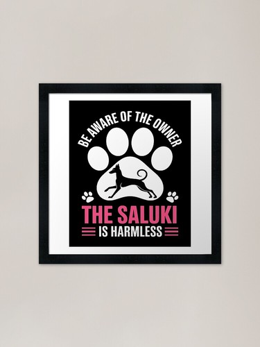 Saluki owner warning harmless - owner,