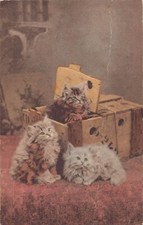 FAMILY HISTORY - POSTCARD -