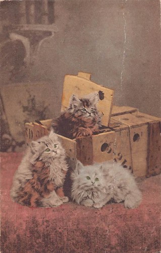 Family history postcard - history,
