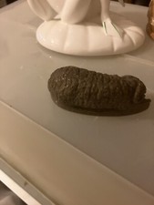 Model Of Sleeping Sheep