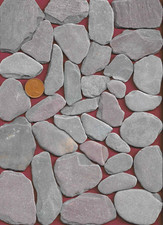 35 UK North Sea Scottish beach