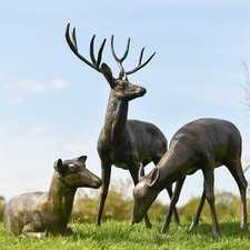 Scottish highland stag doe - scottish,