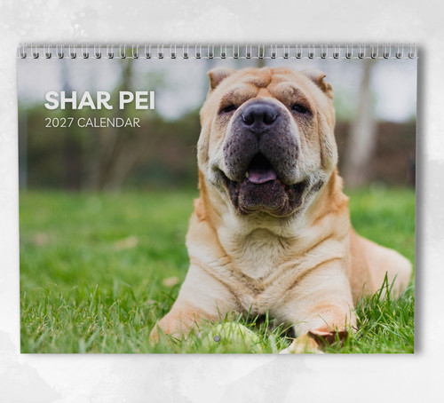 Shar pei calendar 2027 - pei,