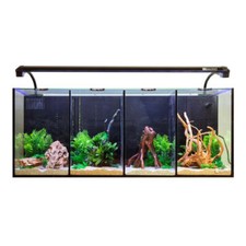 Aqua One Betta Quad Aquarium