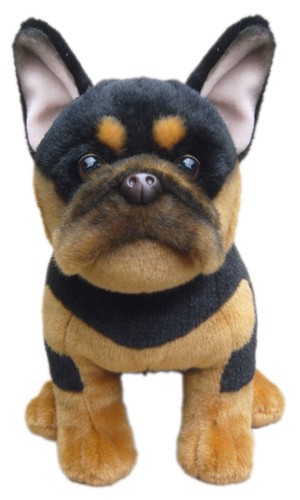 Black tan french - black,