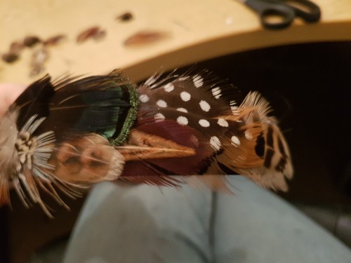 Pheasant country feather - pheasant,