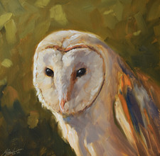 Beautiful John Silver Original Oil Painting Portrait Of A Barn Owl