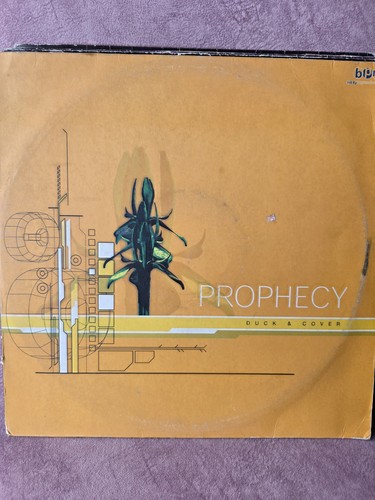Duck cover prophecy - duck,