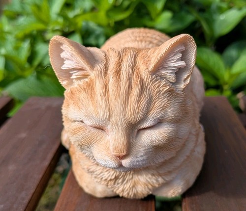 Dreaming ginger cat vivid - cat,
