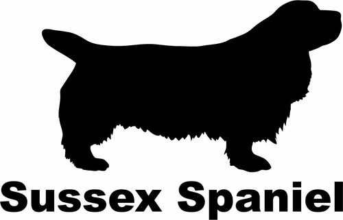 Sussex spaniel - sussex,