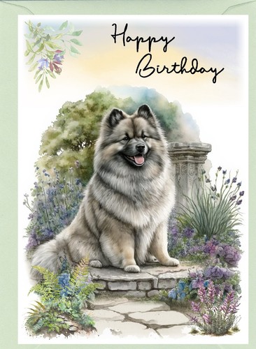 Keeshond dog birthday card - keeshond,