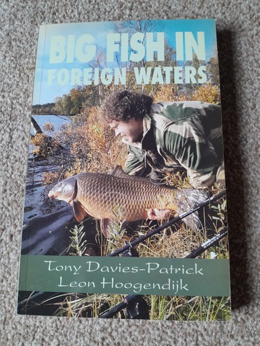 Big fish foreign waters - fish,