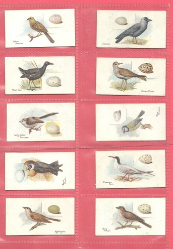 Cigarette cards 1900 1940 - -,