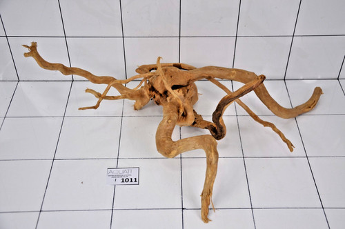 Premium aquarium natural wood - premium,