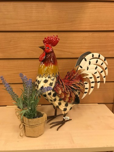 Rooster cockerel hen chicken - rooster,