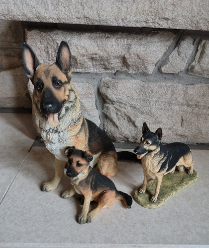 Vintage german shepherd - 2,
