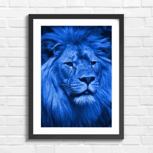 Majestic male lion portrait - majestic,