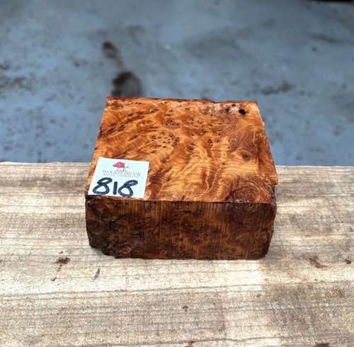Thuya burr 4 x 2 - 4,
